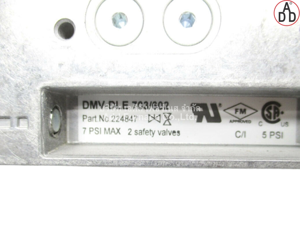 DMV-DLE 703/602 (3)